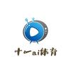 十一ai体育头像