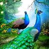 孔雀头像
