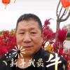 何建平头像