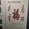 涛声Song歌头像