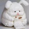阿青君和小白头像