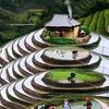 卡车司机五哥(梁)（索图星守护）头像