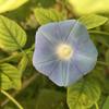 大海一滴水头像