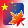 🇨🇳随风在路上头像