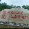 邮差头像
