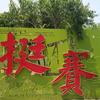 云淡风轻头像