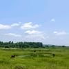 乡野垂钓-户外垂钓-钓鱼戒烟戒槟榔进行中头像