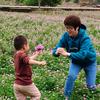 深山人家头像