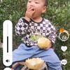 老孙头像