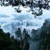 向峰头像