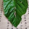 东方大白头像