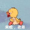 🌸是春晓呀🌸头像