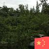 ঐ᭄李ꦿ꧉通᭄久ꦿᩚ🕊️头像