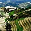 山韵头像