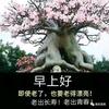 庄桂敏头像