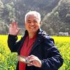 秦岭云杉头像