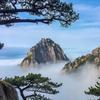 淺若清風头像