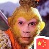 再回首头像