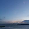 @@WU糖的冰头像