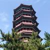 春之韵头像