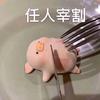 是咸鱼菌鸭（宝可梦）头像