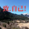 草根.尕海头像