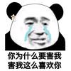 爱情的模样头像