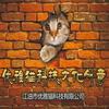 优雅猫文创头像