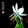 学勤头像