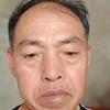 狐头像