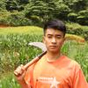 怒子红头像