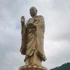 酒酒歌头像