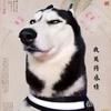 晴天头像