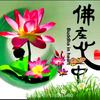 深谷幽兰头像