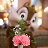 ruirui_和花叶同行头像
