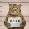 秦爱得头像