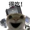 鼠鼠得吃（三角洲）头像
