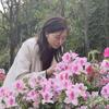 诗梦吖头像