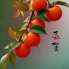 H头像
