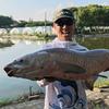 龙城金牛钓鱼🎣头像