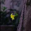 Dear_悬崖上的小黄花🌼头像
