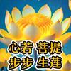 求正觉头像