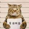 徐闻友仔头像