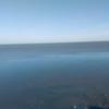 翰海头像