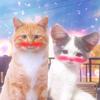 微醺修猫头像