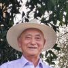 满山绿头像