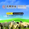有家天赐牧业头像
