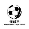 懂球王世界杯头像