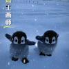 向上而行-Fan.X银倡导者头像