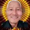 白头翁头像